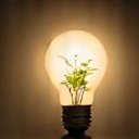 Lightbulb with a plant growing inside